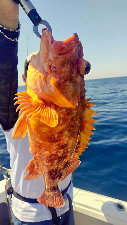 fisherman1267