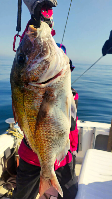 fisherman1262